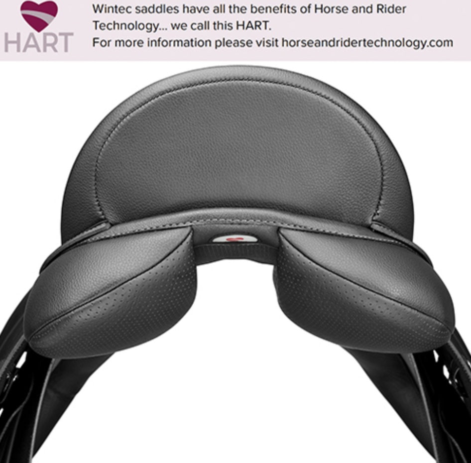 Montura Wintec 500 Hart doma