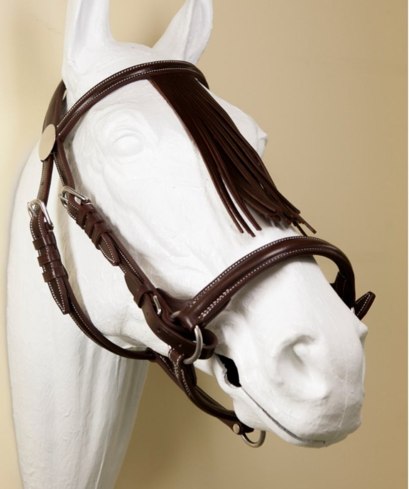 Cabezada arzuana cuero