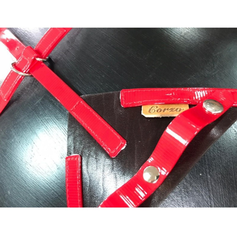 Enganche/Correas andadura Biothane