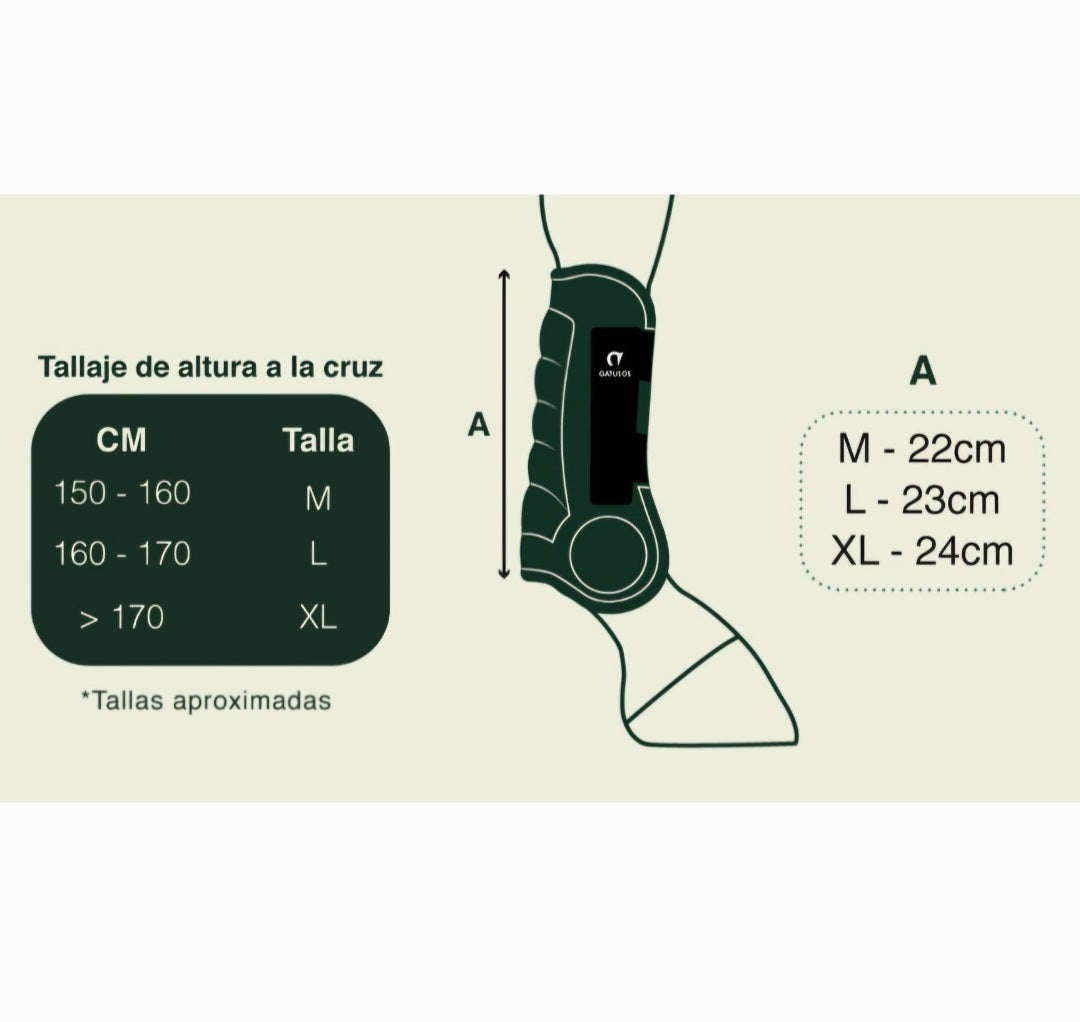 Protector tendón Deluxe Gatusos