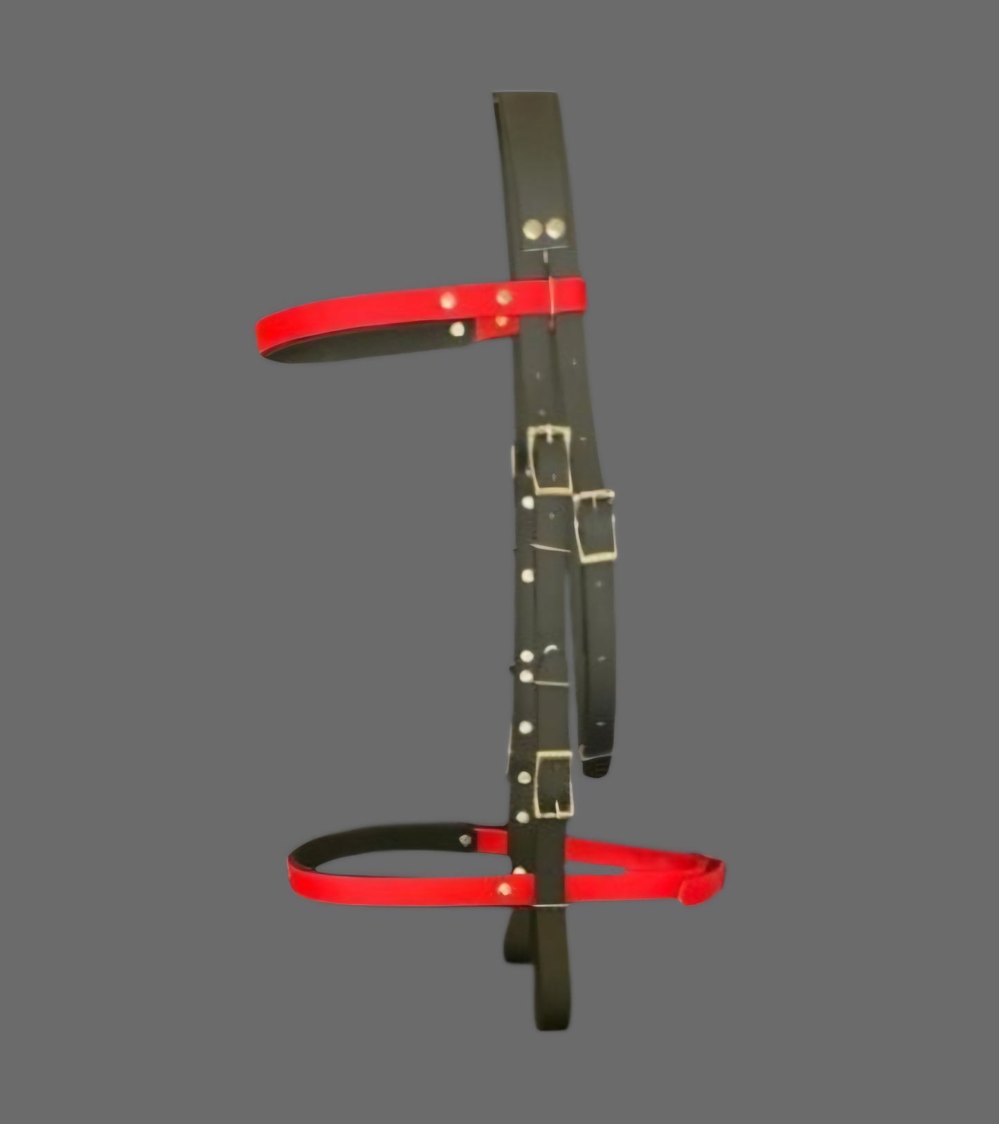 Cabezada colores inox