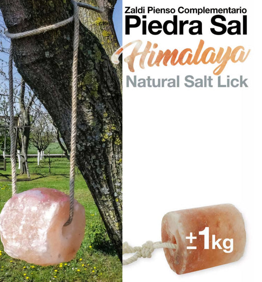 Piedra sal himalaya Zaldi