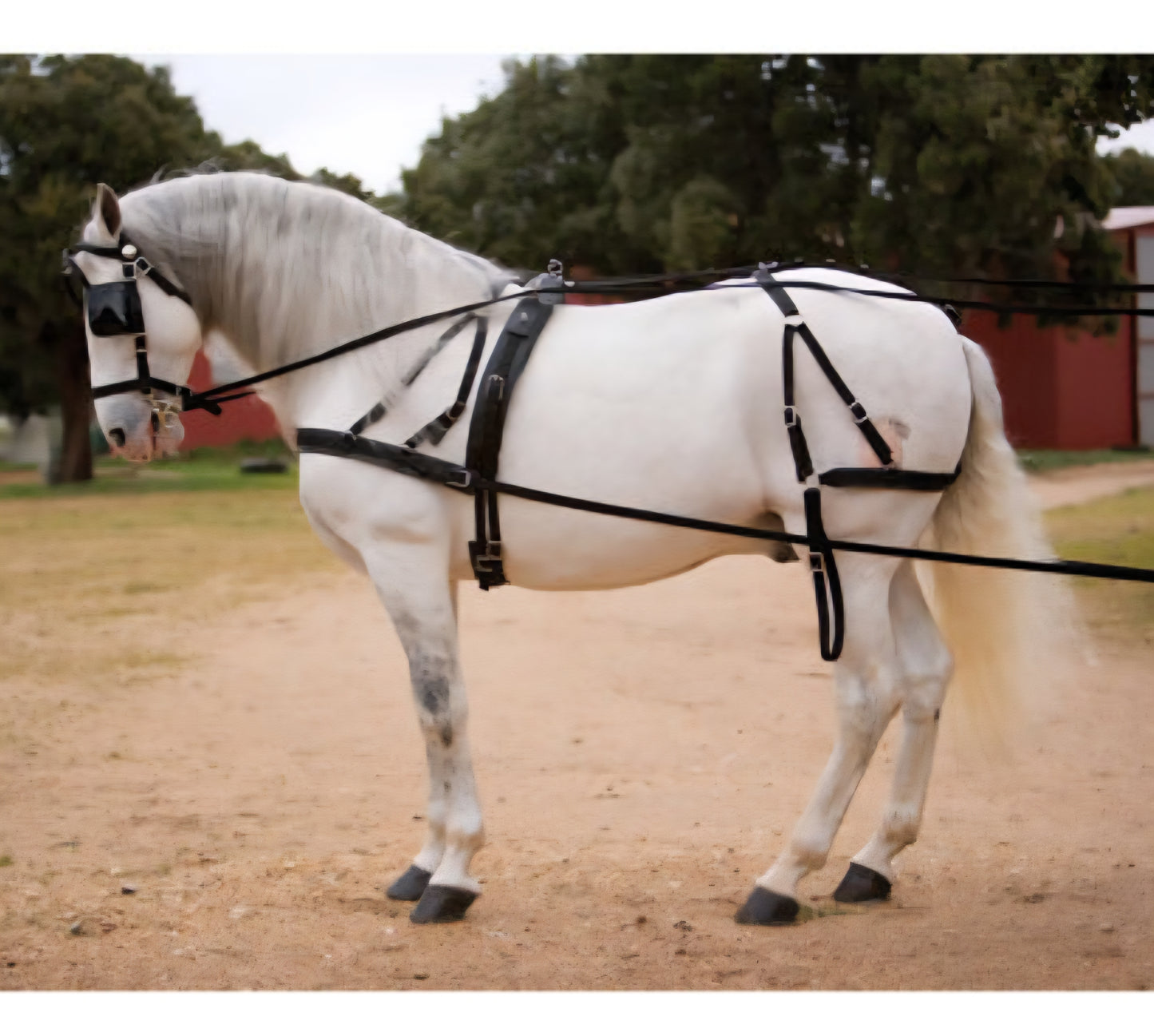 Enganche pecherin nylon sencillo