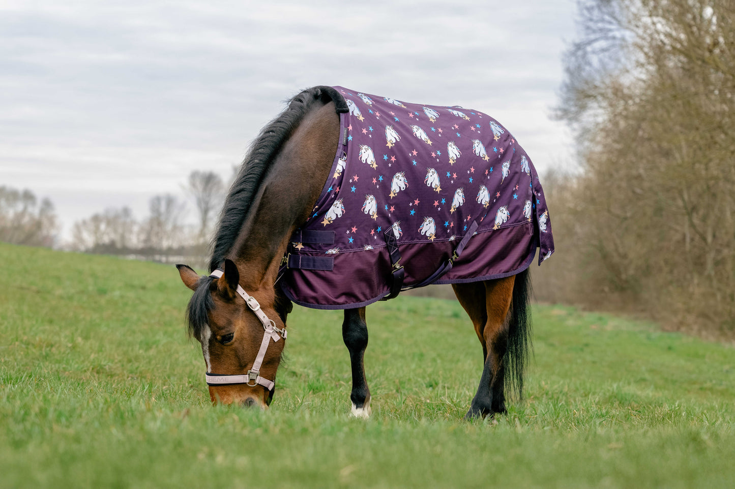 Manta pony unicornios