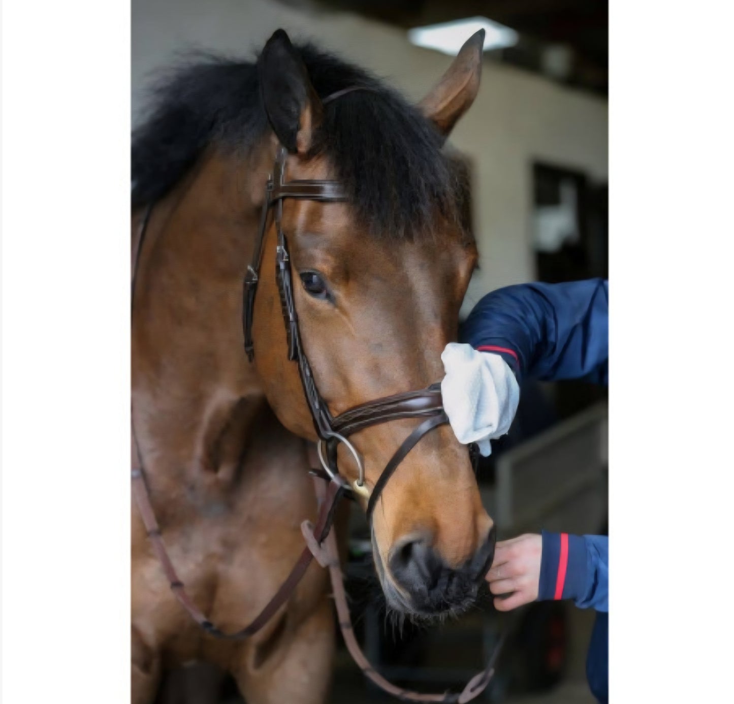 Guantes limpieza cuero Belvoir