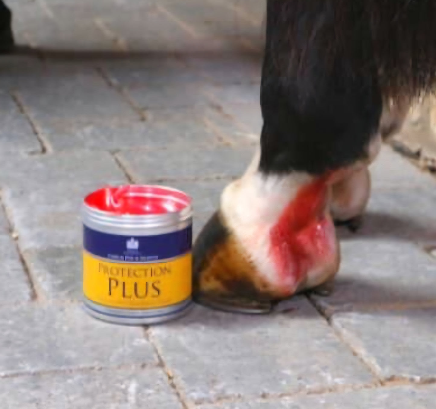 Crema antibacteriana PROTECTION PLUS Carr&Day