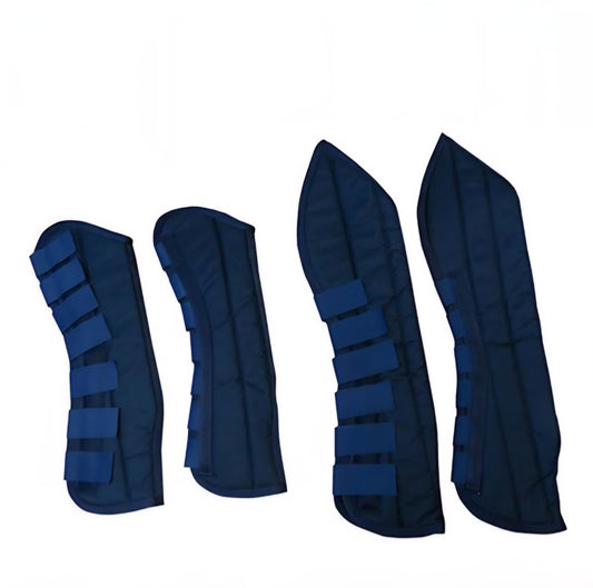 Protectores transporte