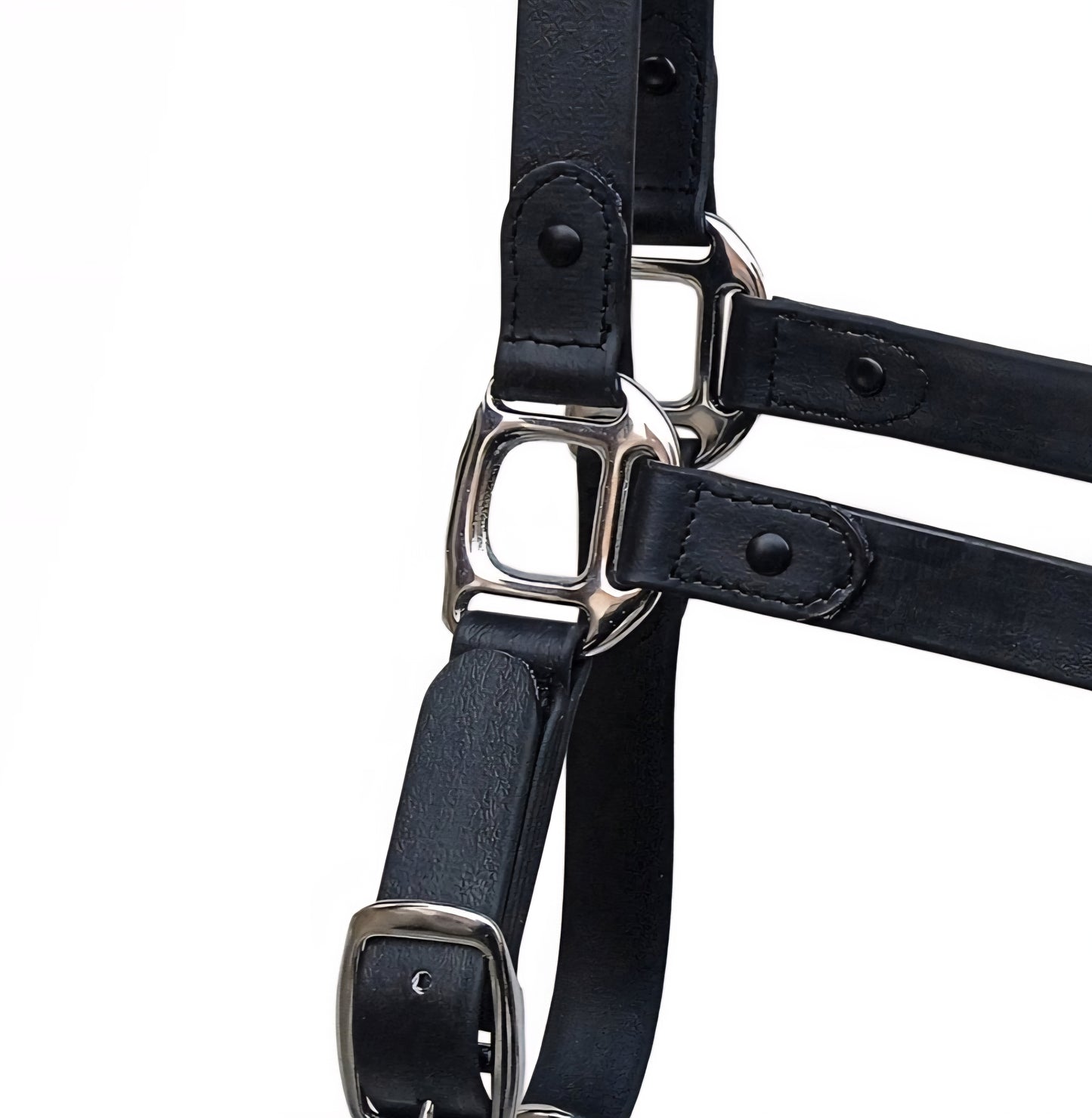 Cabezada cuadra Biothane