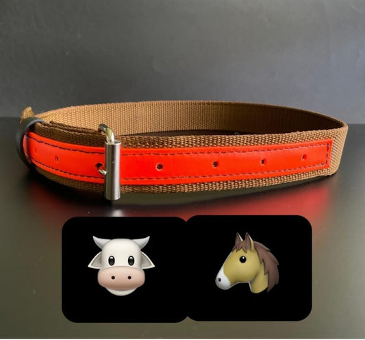 Collar caballos/vacas