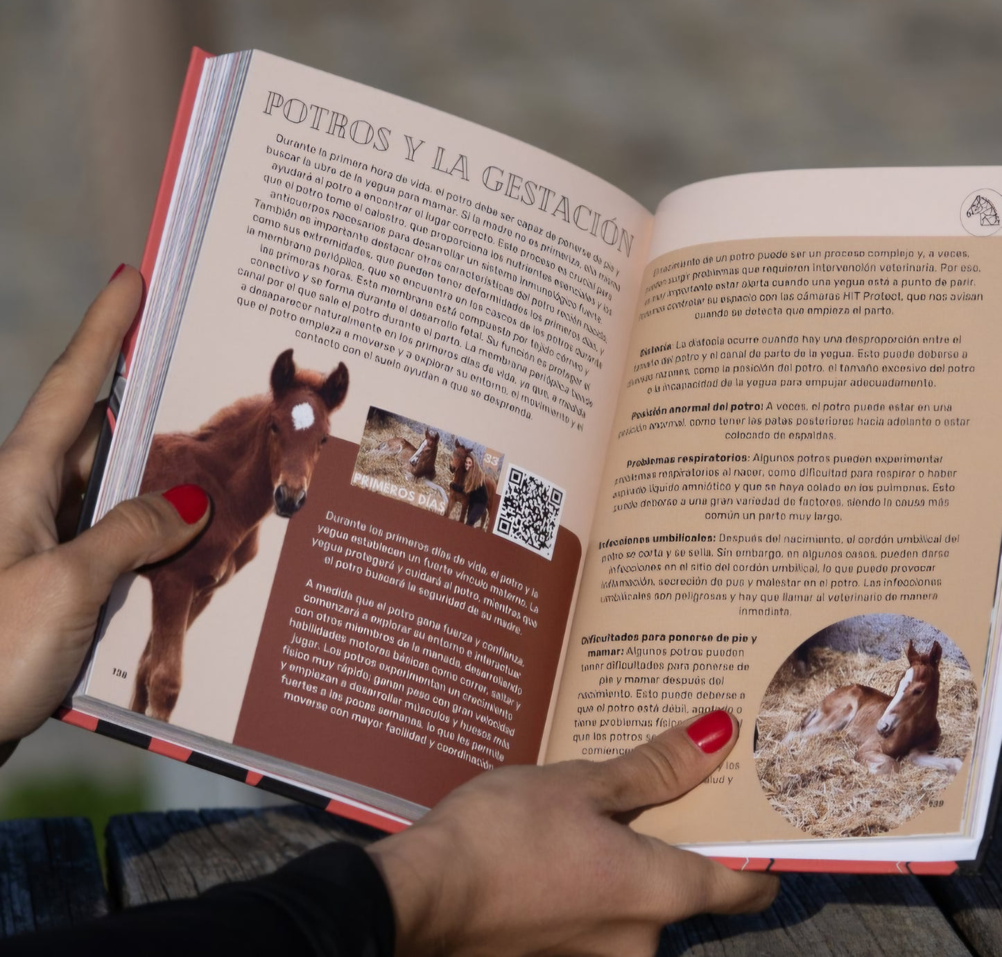 Libros Hello Riders!