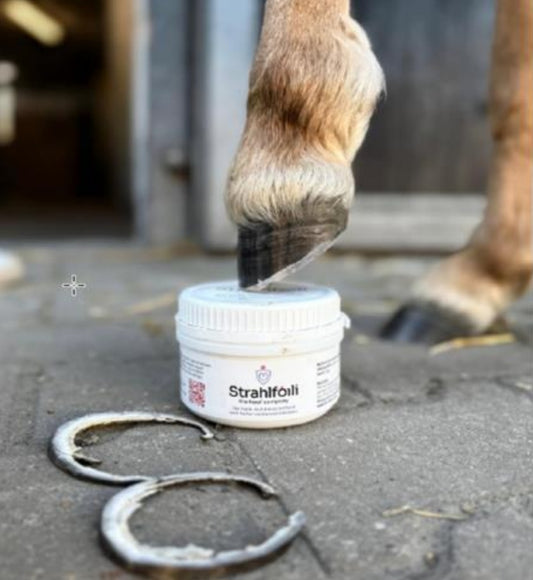 Protector ranilla Strahlfoili 500gr