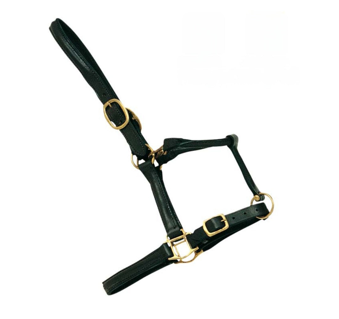 Cabezada cuadra cuero doble