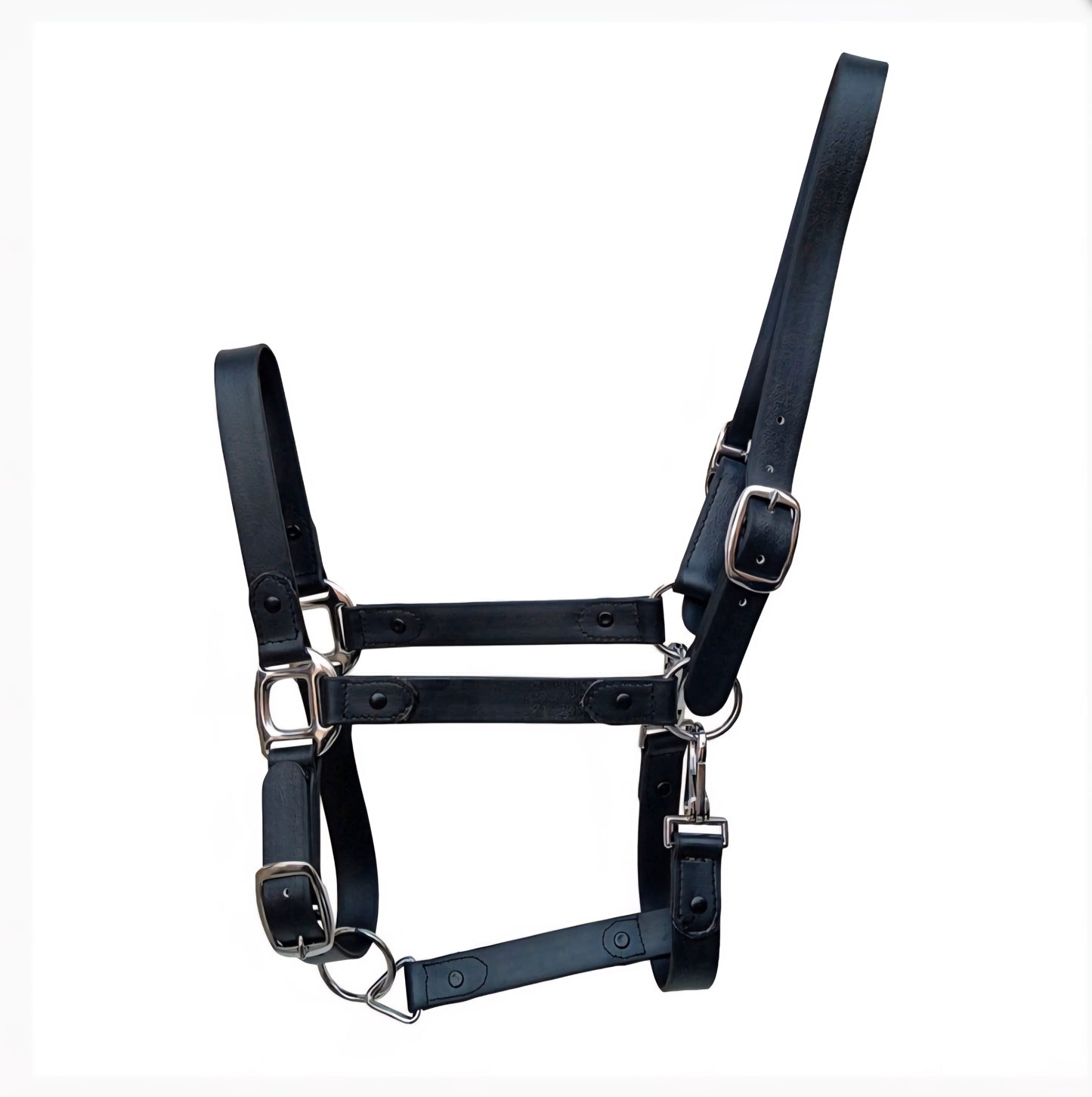 Cabezada cuadra Biothane